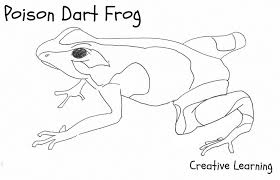 Free Printable Frog Coloring Pages For Kids Frog Coloring Pages Frog Drawing Giraffe Coloring Pages