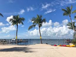 Image result for Key Largo Aqua 1972 Philco