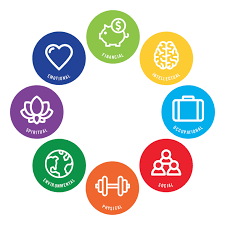 Our program will explore 7 different dimensions that define¹ your holistic wellness (please click each dimension for more information): The Eight Dimensions Of Wellness Oberlin College And Conservatory