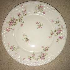 The background is ivory delicately decorated with blue, pink. Possibly Rare Haviland Limoges From 1903 Collectors Weekly
