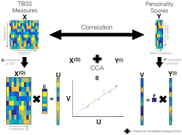 Double r real estate holdings, llc. Frontiers Structural Correlates Of Personality Dimensions In Healthy Aging And Mci Psychology