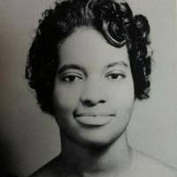 Shirley Fields Obituary (2025)