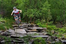 We Have Lovingly Created An Incredible Network Of Trails For Riders Of All Abilities At Bikepark Wales Sw Weekends Away Uk Mountain Biking Uk Mountain Biking