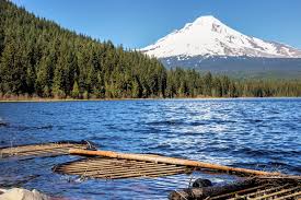 We did not find results for: Trillium Lake Hike Best Times For Hiking Epic Views
