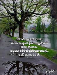 We did not find results for: Lassana Nisadas Archives Sinhala Nisadas
