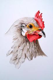 Chicken Drawing Chicken Portrait Original Fine Art Colored Chicken Drawing Drawings Chicken Coloring