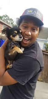 Found dog in Denver neighborhood