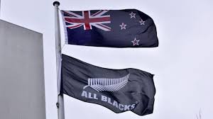 Im gegensatz zu australien sind die bestrebungen dort auch relativ gering, stattdessen einen präsidenten, eine präsidentin zu wählen. Neue Flagge Fur Neuseeland Wie Austauschbar Ist Nationale Symbolik