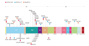Some variants, such as those found in south africa and brazil, have caused concern for their potential to evade the immune response. Sars Cov 2å¤‰ç•°æ ª çµ„ã¿æ›ãˆæŠ—åŽŸ æ±äº¬æœªæ¥ã‚¹ã‚¿ã‚¤ãƒ«