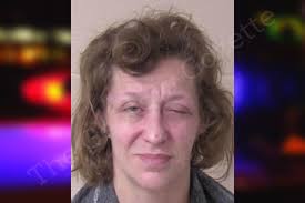 Hannah Van Nice — Walker County Jail Bookings