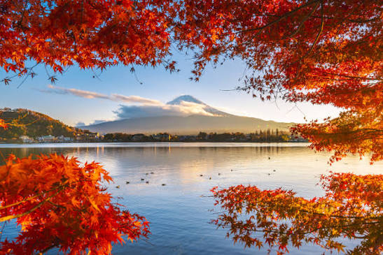 Danau Kawaguchi dengan latar Gunung Fuji