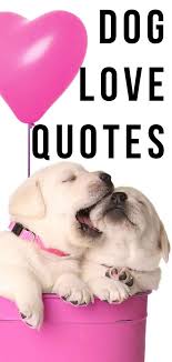 That is the principal difference between a dog and a man. Dog Love Quotes That Express Your Feelings Perfectly