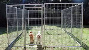 Sarà un paradiso per i vostri amici pelosi. Come Costruire Un Recinto Per Cani Fai Da Te Bepuppy