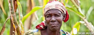 The Unwanted Vikings