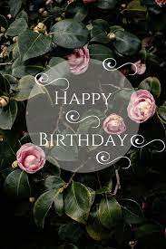 Birthday wishes for girls and female friends. The Only 101 Happy Birthday Wishes You Might Need Funny Happy Birthday Images Happy Birthday Wishes Cards Happy Birthday Images