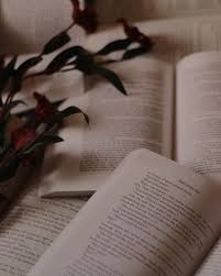 In fact, you are eager to transform your digital manuscript into this tangible form. Pages And Open Books Instagram Whispersofshelves Light Academia Aesthetic Dark Academia Light Academia Aesthetic Dark Academia Aesthetic Academia Aesthetic