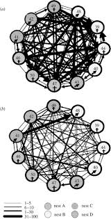 For over a year us special forces had been in. Cognitive Adaptations Of Social Bonding In Birds Philosophical Transactions Of The Royal Society B Biological Sciences
