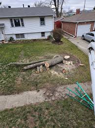 Gary here, representing Rexroad Tree Service. Looking for some job  opportunities to sustain my family (wife & three children). Kindly request  a free estimation by calling 402-215-1277.