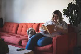 5 Best Sofas With Strong Support To Help Your Back Pain Home Of Cozy