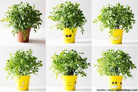 Maybe you would like to learn more about one of these? Mudah Dibuat Pot Terlihat Eskpresif Dengan Lukisan Emoji