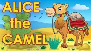 Two little black bears sitting on a hill, one named jack and one named phil, run away jack, run away phil. Alice The Camel Counting Songs For Kids Action Songs For Kids By The Learning Station Youtube