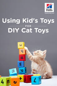 If You Re Happy And You Know It Say Meow Repurposing Children S Toys Into Cat Toys Hill S Pet Homemade Cat Toys Cat Toys Kids Toys