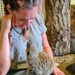 Meerkat Encounter