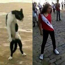 Jun 15, 2021 · jéssica das neves acabou por ser insultada, alvo de ataques raciais, perseguições e mais algumas coisas. Ja Acabou Jessica Portal No Amazonas E Assim