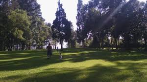 Akun resmi s_bir_s keep solid and rock n roll gunakan hastag #selabintanabiru ✌. Selabintana Resort Hotel Picture Of Selabintana Resort Hotel Sukabumi Tripadvisor