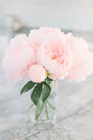 Weitere ideen zu schöne hintern, pink ästhetik, pinke sachen. Renovating An 80 S Style Kitchen Into A Bright Light Dream Flowers Flower Arrangements Pretty Flowers