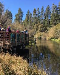 ANNUAL REPORT 2017–2018