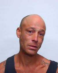 On 03-31-2025 at approximately 4:38 pm officers of the Live Oak Police  Department (LOPD) responded to the area of Andre Davis Street and Rogers  Avenue, in Live Oak, for an animal abuse