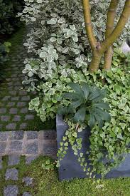 Terrasse En Rez De Jardin A Paris 16 Paving Stones And Creeper Jardins Patio Jardins Jardin Avec Terrasse