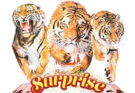 Surprise Cirque D Hiver Bouglione Spectacles
