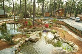 Private Luxury Campgrounds In North Carolina Provided By Sycamore Lodge Resort Jackson Springs 27281 Camping Resort Camping Destinations Camping Locations