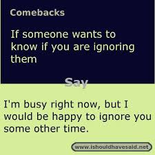 Comebacks To Are You Ignoring Me I Should Have Said Funny Insults And Comebacks Sarcastic Comebacks Comebacks And Insults