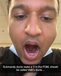 Rush Otolaryngology Residency