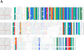 The spinning radar on a boat is a unit that usually sits at the highest part of the structure. Molecular Identification And Expression Analysis Of Four Lysin Motif Lysm Domain Containing Proteins From Turbot Scophthalmus Maximus Sciencedirect