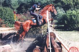 In stadium jumping, horses may not touch. Horse Jumping Obstacles Wikiwand