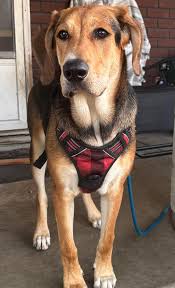 Sunday vibes from an 11 year old Walter