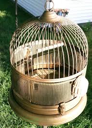 Besides good quality brands, you'll also find plenty of discounts when you shop for decorative bird cages during big sales. Bird Cage Antique Owl Accented Hanging Or Tabletop Style Gold Birdcage French Cottage Chic Victorian Home Decor Milk Glass Seed Cups Swing Pet Supplies Pet Carriers Houses Delage Com Br