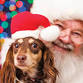 Pup Pics with Santa event image
