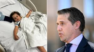 NSW Health Minister Ryan Park vows to improve services after two-year-old's  death at Northern Beaches Hospital