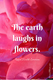 Nature Is My Sanctuary Quotes To Inspire Heal Boom2bloom Com Flower Quotes Nature Quotes Inspirational Quotes