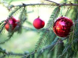 Maybe you would like to learn more about one of these? When Twelfth Night Is And Why You Should Take Your Christmas Decorations Down Before Then Bristol Live