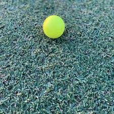 Yukon bermudagrass uses up to 25% less water than other bermuda grasses, while maintaining superior turf quality, according to university studies. Yukon Bermuda Grass Seed Yukon Bermuda Putting Grass Seed