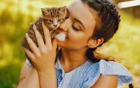 We need pictures of cats. National Hug Your Cat Day Space Coast Pet Services