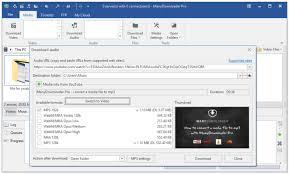 Windows 95 with at least 1 mb of free disk space. Manydownloader Download