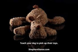 10 Jobs For German Shepherds At Home Supercharge Their Lives Shepherd Sense