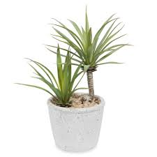 Yucca Artificiel En Pot H 24 Cm Yucca Fleurs Artificielles Conseils D Entretien De Maison